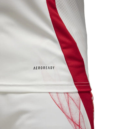 Y3 Japan Jersey 2024 - Away & Fan Japan Soccer Jersey