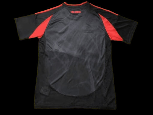 Colombia 2024 Away Soccer